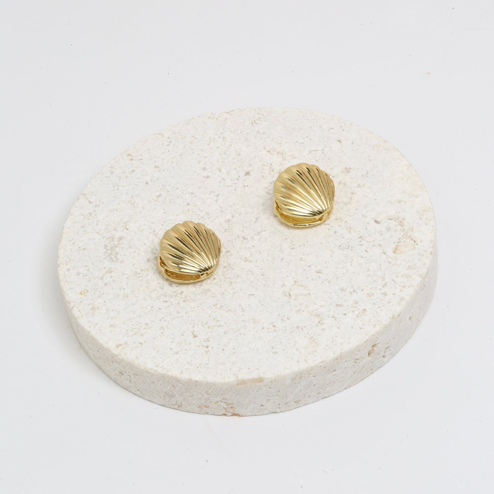 Seashell golden studs