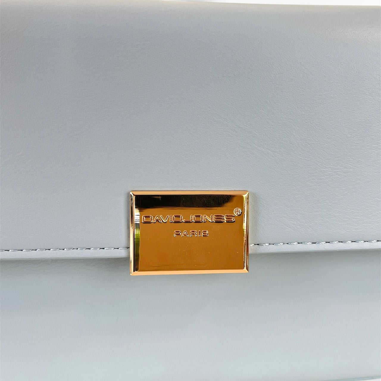 David jones small handbag